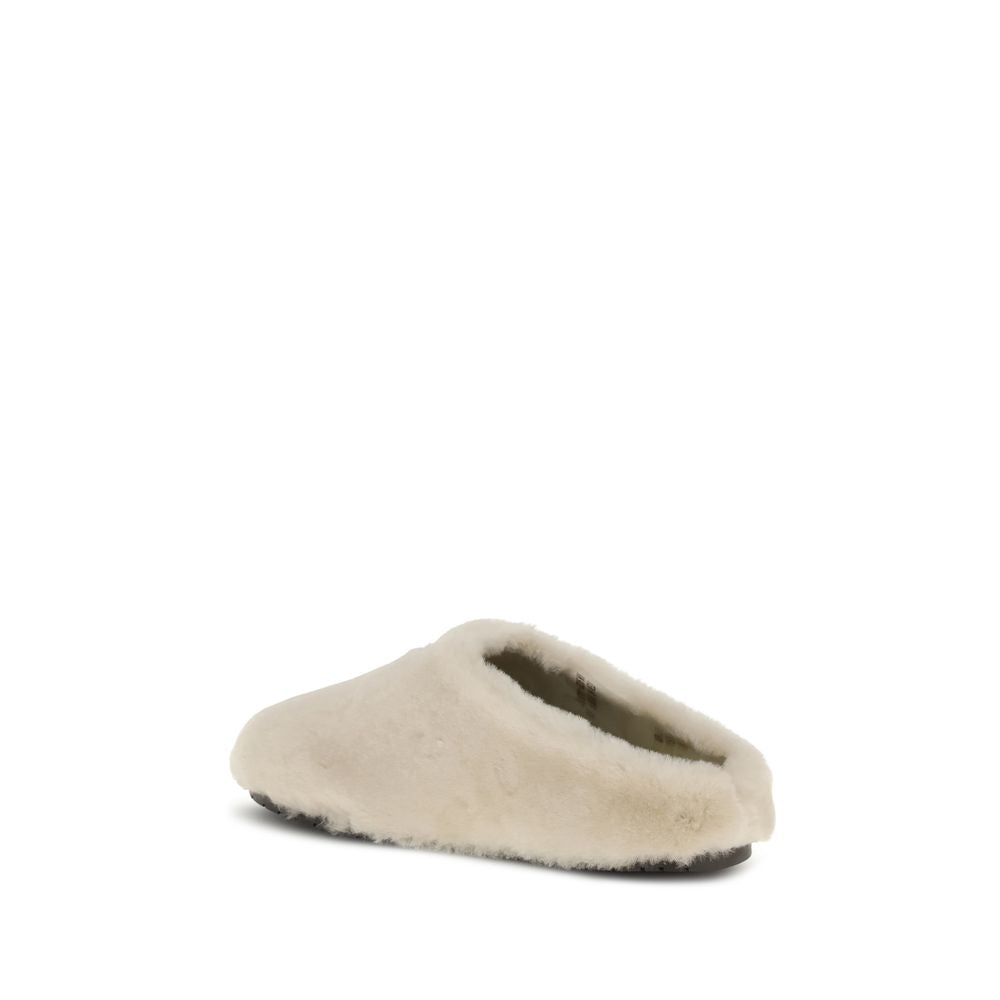 Beige Lamb Ovis Aries Aries Mules