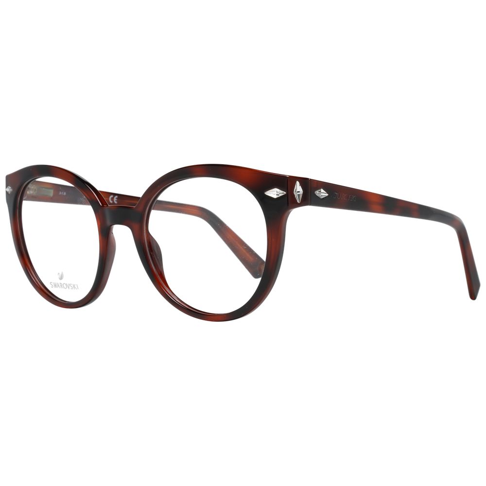 Brown Plastic Glasses (Frames)